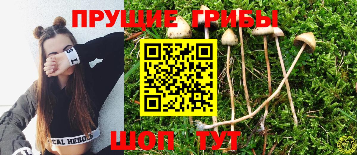 Галлюциногенные грибы Magic Shrooms  Вход с VPN  Грязи 